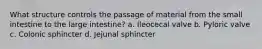 What structure controls the passage of material from the small intestine to the large intestine? a. Ileocecal valve b. Pyloric valve c. Colonic sphincter d. Jejunal sphincter