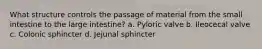 What structure controls the passage of material from the small intestine to the large intestine? a. Pyloric valve b. Ileocecal valve c. Colonic sphincter d. Jejunal sphincter