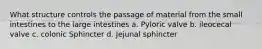 What structure controls the passage of material from the small intestines to the large intestines a. Pyloric valve b. ileocecal valve c. colonic Sphincter d. Jejunal sphincter