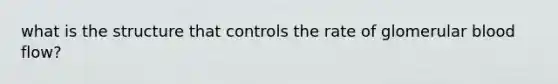 what is the structure that controls the rate of glomerular blood flow?