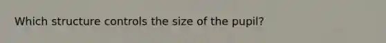 Which structure controls the size of the pupil?