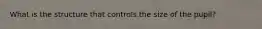 What is the structure that controls the size of the pupil?