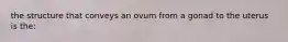 the structure that conveys an ovum from a gonad to the uterus is the: