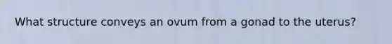 What structure conveys an ovum from a gonad to the uterus?