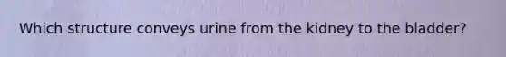 Which structure conveys urine from the kidney to the bladder?