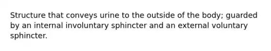 Structure that conveys urine to the outside of the body; guarded by an internal involuntary sphincter and an external voluntary sphincter.