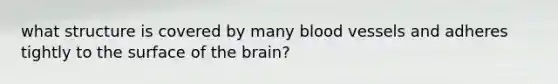 what structure is covered by many blood vessels and adheres tightly to the surface of the brain?