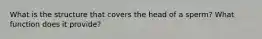 What is the structure that covers the head of a sperm? What function does it provide?