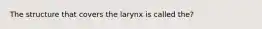 The structure that covers the larynx is called the?