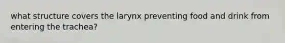 what structure covers the larynx preventing food and drink from entering the trachea?