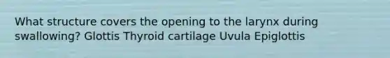 What structure covers the opening to the larynx during swallowing? Glottis Thyroid cartilage Uvula Epiglottis