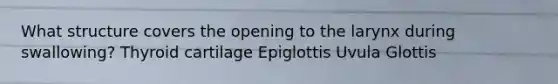 What structure covers the opening to the larynx during swallowing? Thyroid cartilage Epiglottis Uvula Glottis