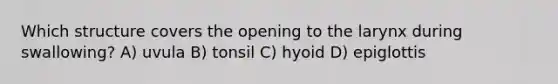 Which structure covers the opening to the larynx during swallowing? A) uvula B) tonsil C) hyoid D) epiglottis