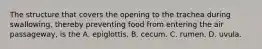 The structure that covers the opening to the trachea during swallowing, thereby preventing food from entering the air passageway, is the A. epiglottis. B. cecum. C. rumen. D. uvula.