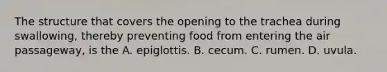 The structure that covers the opening to the trachea during swallowing, thereby preventing food from entering the air passageway, is the A. epiglottis. B. cecum. C. rumen. D. uvula.