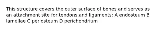 This structure covers the outer surface of bones and serves as an attachment site for tendons and ligaments: A endosteum B lamellae C periosteum D perichondrium