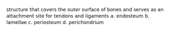 structure that covers the outer surface of bones and serves as an attachment site for tendons and ligaments a. endosteum b. lamellae c. periosteum d. perichondrium