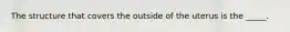 The structure that covers the outside of the uterus is the _____.