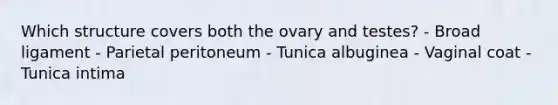 Which structure covers both the ovary and testes? - Broad ligament - Parietal peritoneum - Tunica albuginea - Vaginal coat - Tunica intima