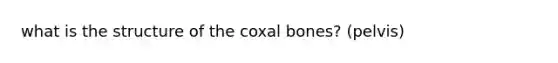 what is the structure of the coxal bones? (pelvis)