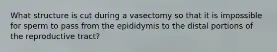 What structure is cut during a vasectomy so that it is impossible for sperm to pass from the epididymis to the distal portions of the reproductive tract?