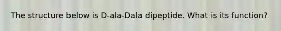 The structure below is D-ala-Dala dipeptide. What is its function?