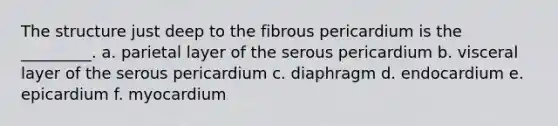 The structure just deep to the fibrous pericardium is the _________. a. parietal layer of the serous pericardium b. visceral layer of the serous pericardium c. diaphragm d. endocardium e. epicardium f. myocardium