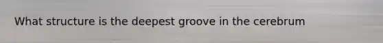 What structure is the deepest groove in the cerebrum