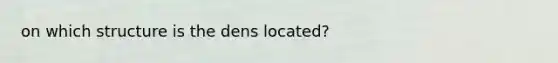 on which structure is the dens located?