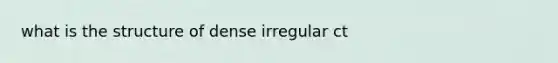 what is the structure of dense irregular ct