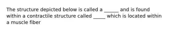 The structure depicted below is called a ______ and is found within a contractile structure called _____ which is located within a muscle fiber