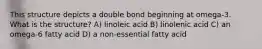 This structure depicts a double bond beginning at omega-3. What is the structure? A) linoleic acid B) linolenic acid C) an omega-6 fatty acid D) a non-essential fatty acid