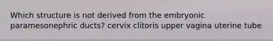 Which structure is not derived from the embryonic paramesonephric ducts? cervix clitoris upper vagina uterine tube