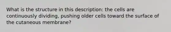 What is the structure in this description: the cells are continuously dividing, pushing older cells toward the surface of the cutaneous membrane?