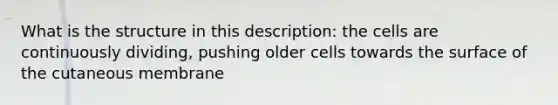 What is the structure in this description: the cells are continuously dividing, pushing older cells towards the surface of the cutaneous membrane