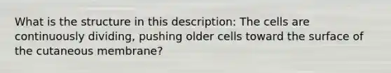 What is the structure in this description: The cells are continuously dividing, pushing older cells toward the surface of the cutaneous membrane?