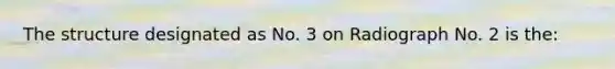 The structure designated as No. 3 on Radiograph No. 2 is the: