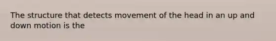 The structure that detects movement of the head in an up and down motion is the