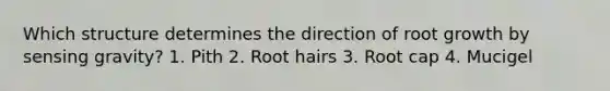 Which structure determines the direction of root growth by sensing gravity? 1. Pith 2. Root hairs 3. Root cap 4. Mucigel