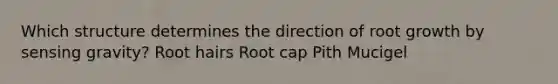 Which structure determines the direction of root growth by sensing gravity? Root hairs Root cap Pith Mucigel