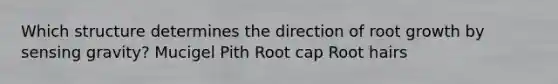 Which structure determines the direction of root growth by sensing gravity? Mucigel Pith Root cap Root hairs