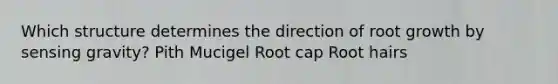 Which structure determines the direction of root growth by sensing gravity? Pith Mucigel Root cap Root hairs