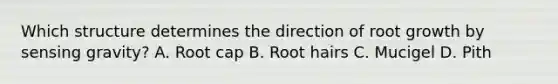 Which structure determines the direction of root growth by sensing gravity? A. Root cap B. Root hairs C. Mucigel D. Pith