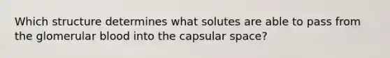 Which structure determines what solutes are able to pass from the glomerular blood into the capsular space?