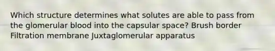 Which structure determines what solutes are able to pass from the glomerular blood into the capsular space? Brush border Filtration membrane Juxtaglomerular apparatus