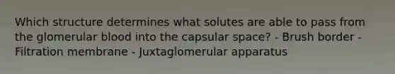 Which structure determines what solutes are able to pass from the glomerular blood into the capsular space? - Brush border - Filtration membrane - Juxtaglomerular apparatus