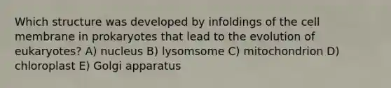 Which structure was developed by infoldings of the cell membrane in prokaryotes that lead to the evolution of eukaryotes? A) nucleus B) lysomsome C) mitochondrion D) chloroplast E) Golgi apparatus