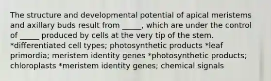 The structure and developmental potential of apical meristems and axillary buds result from _____, which are under the control of _____ produced by cells at the very tip of the stem. *differentiated cell types; photosynthetic products *leaf primordia; meristem identity genes *photosynthetic products; chloroplasts *meristem identity genes; chemical signals