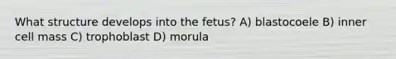 What structure develops into the fetus? A) blastocoele B) inner cell mass C) trophoblast D) morula