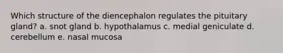 Which structure of the diencephalon regulates the pituitary gland? a. snot gland b. hypothalamus c. medial geniculate d. cerebellum e. nasal mucosa